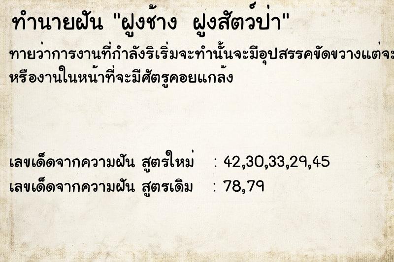 ทำนายฝันทำนายฝันฝูงช้าง ฝูงสัตว์ป่า